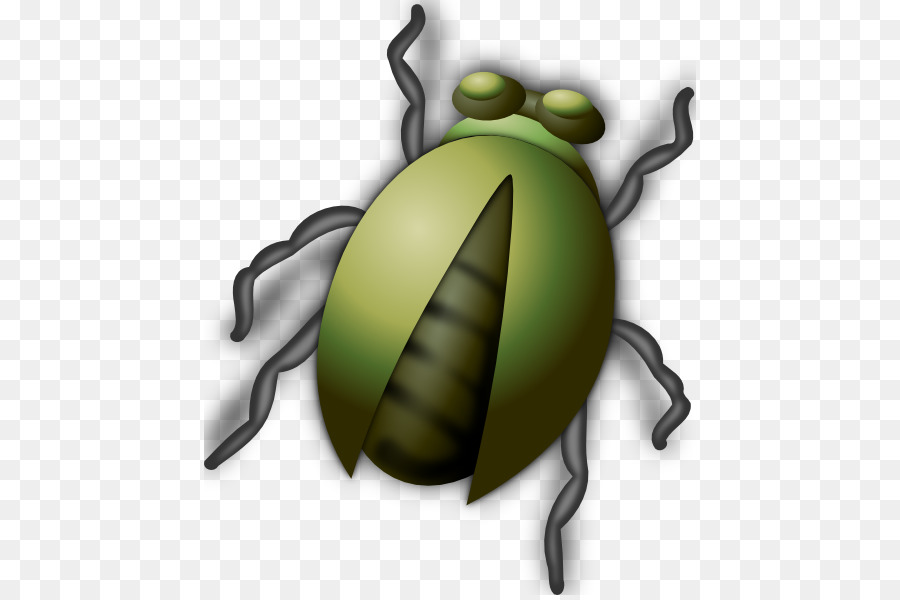 Escarabajo，Libre De Contenido PNG