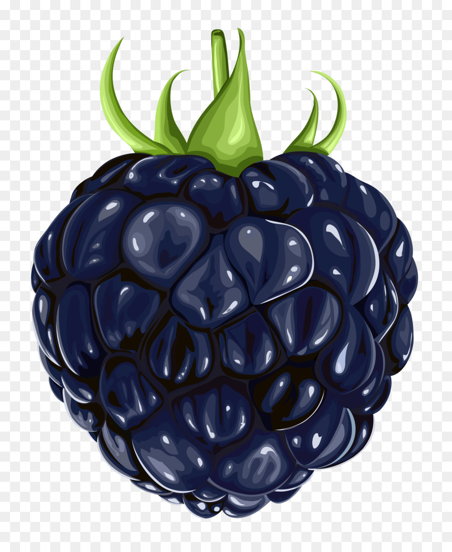 Blackberry，La Fruta PNG