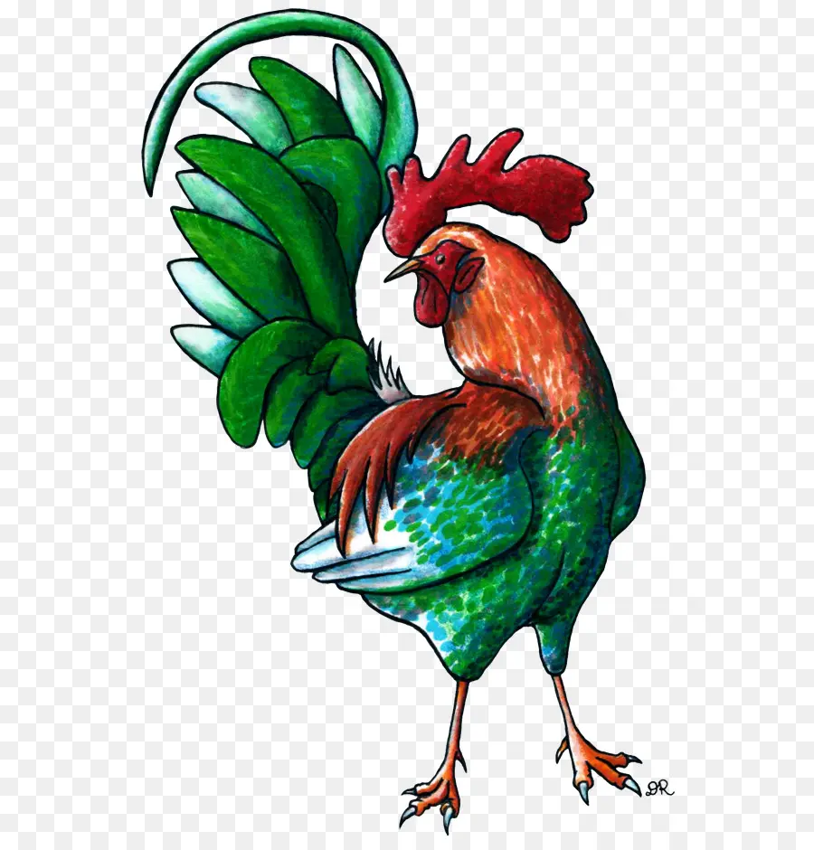 Gallo，Vistoso PNG