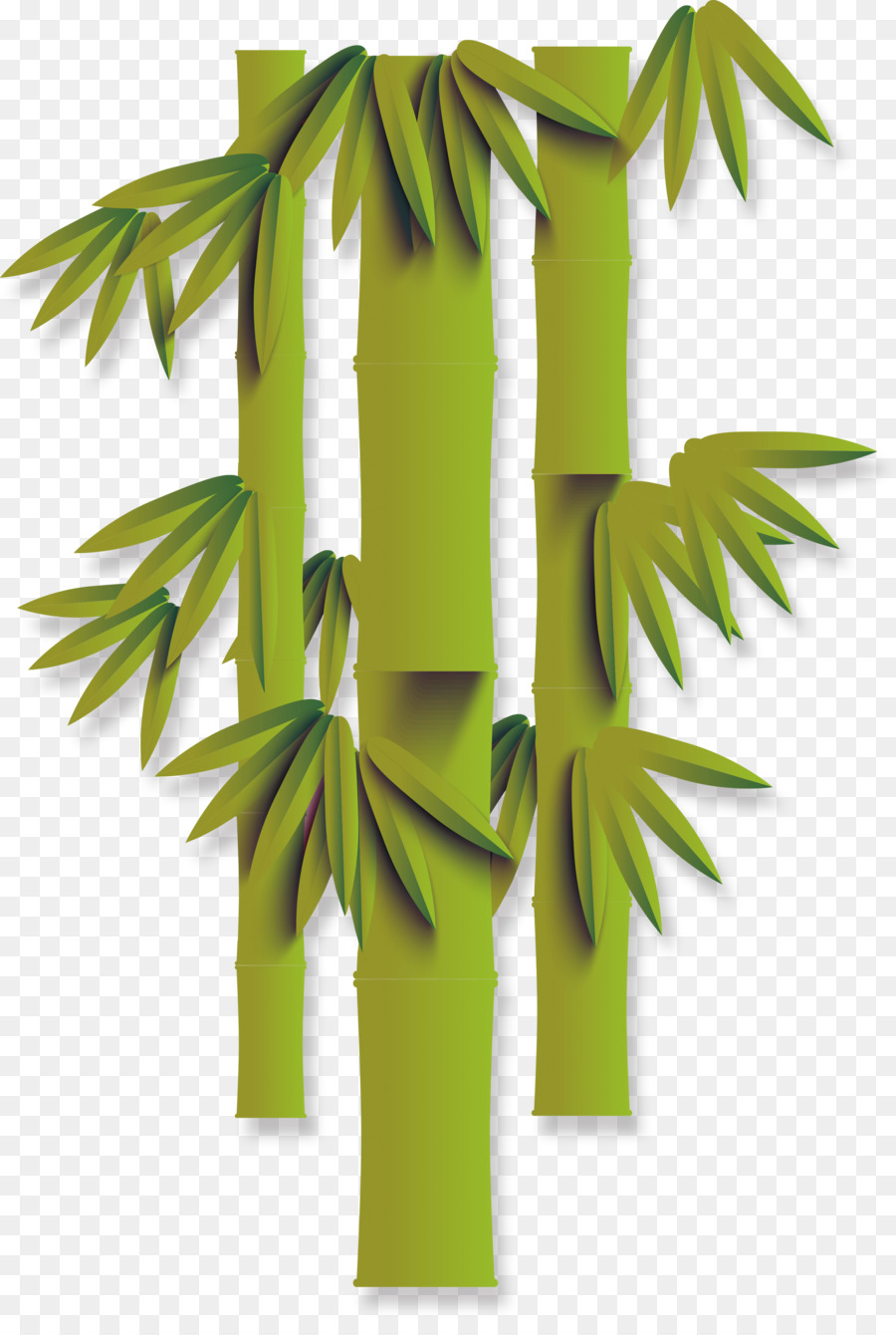 Bambú，Diseño Plano PNG