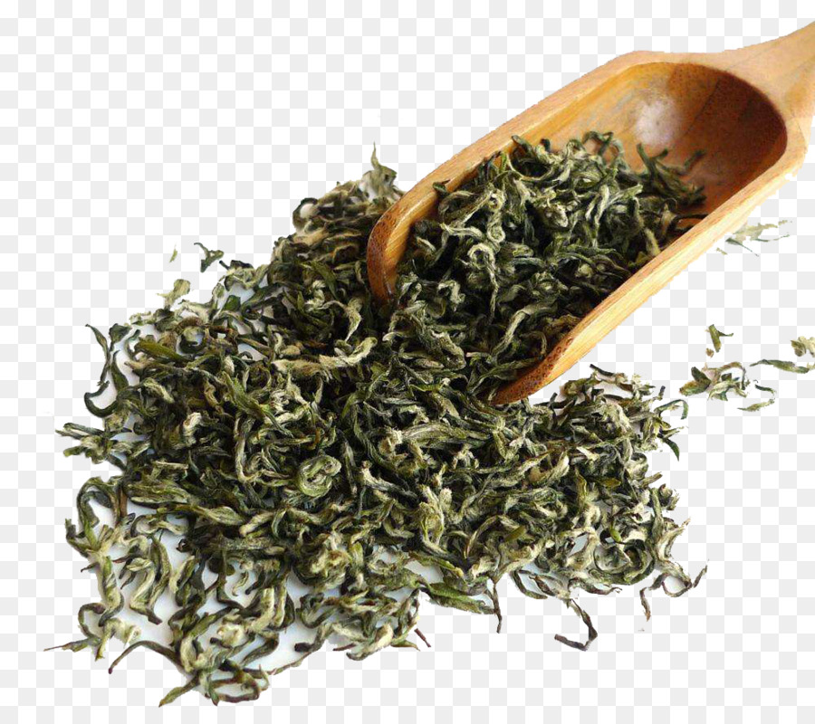 Té，Gyokuro PNG