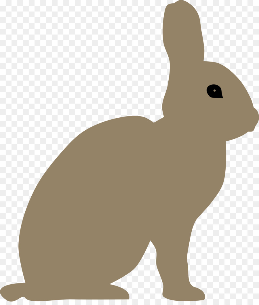 Silueta De Conejo，Conejito PNG