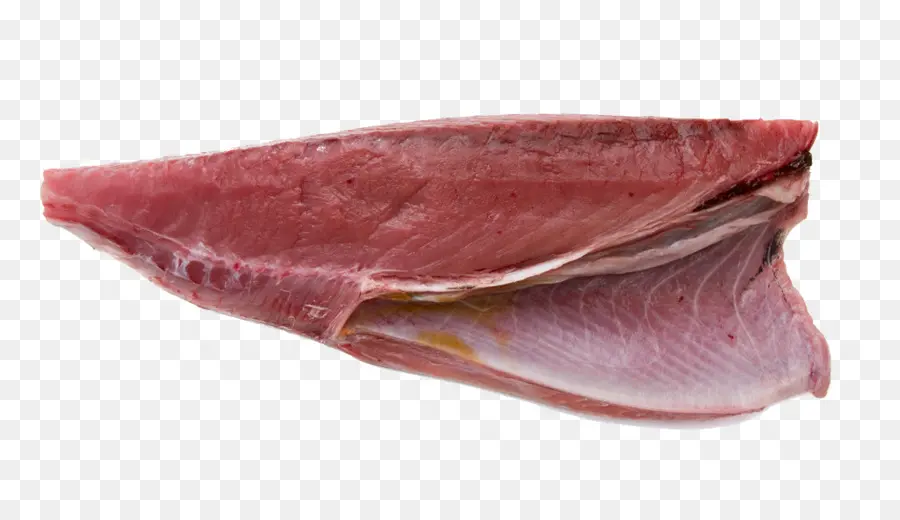 Thunnus，Sushi PNG