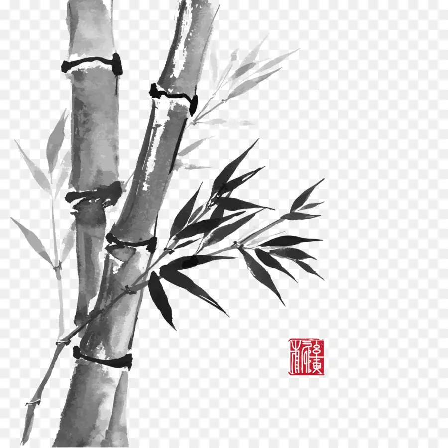 Bambú，Dibujo PNG
