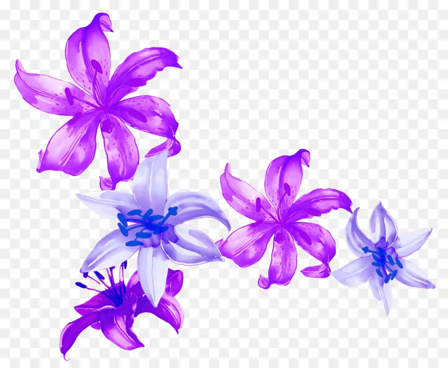 Flores Moradas Y Blancas，Pétalos PNG