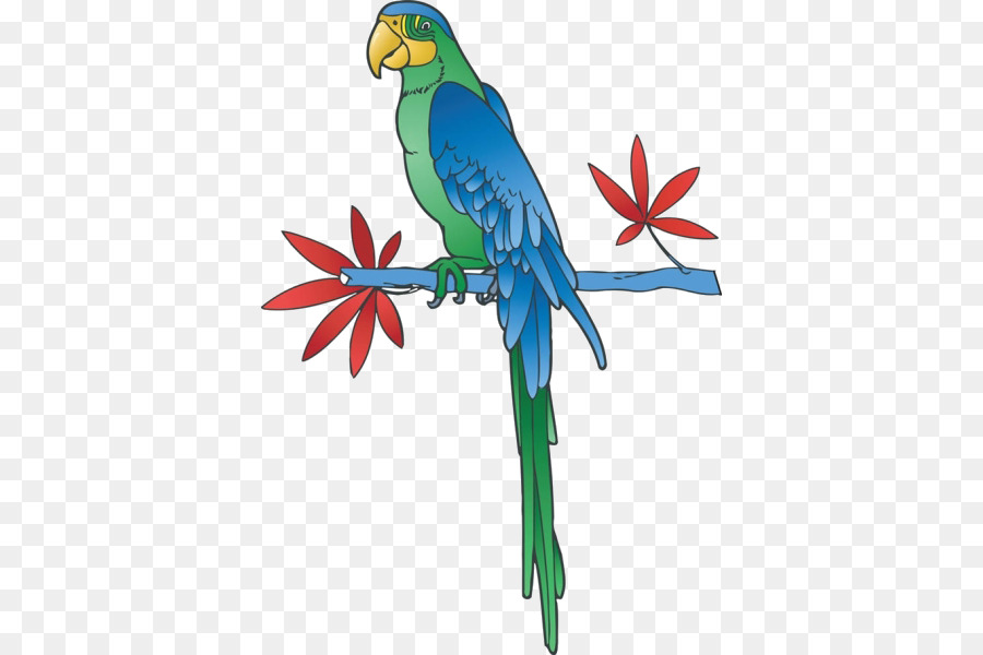 Parrot，Royaltyfree PNG