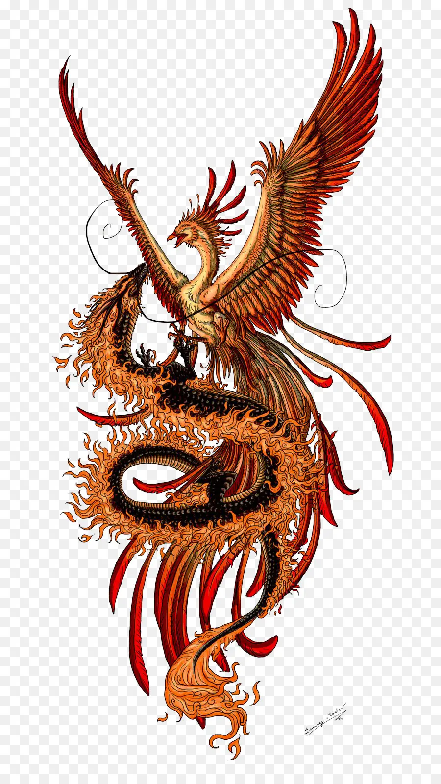 Phoenix，Dragón PNG