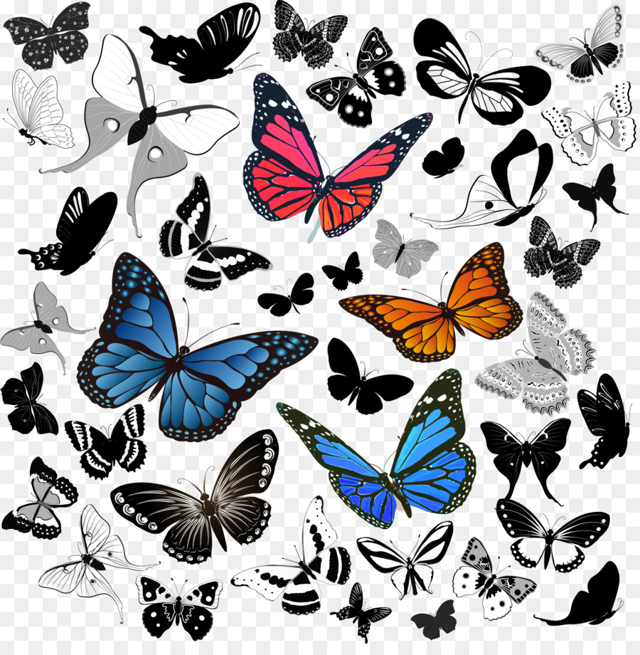 Mariposas，Vistoso PNG