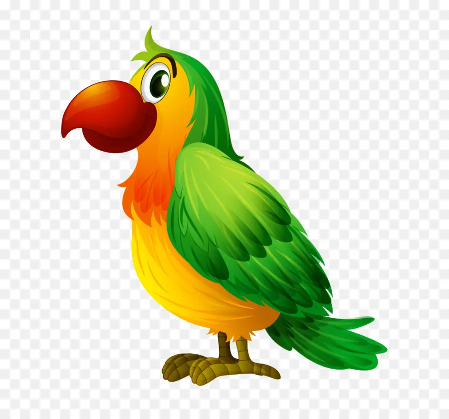 Pájaro，Parrot PNG