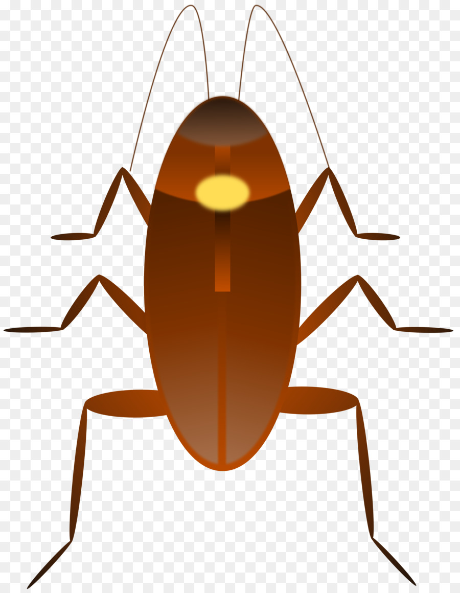 Cucaracha，Libre De Contenido PNG