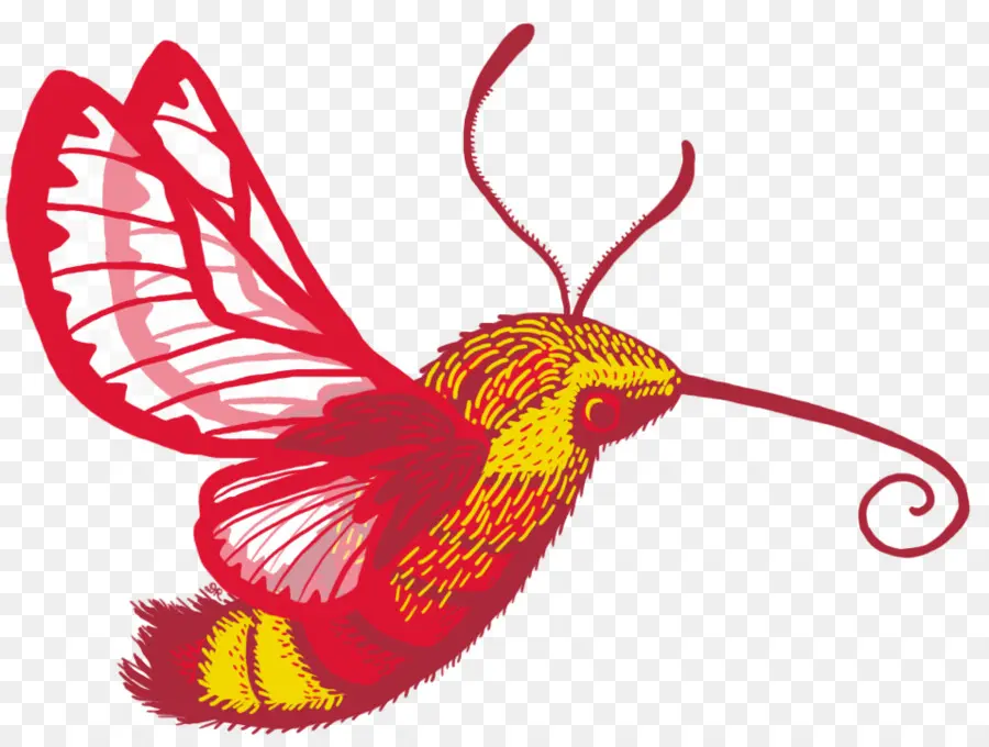 Colibrí，Rojo PNG