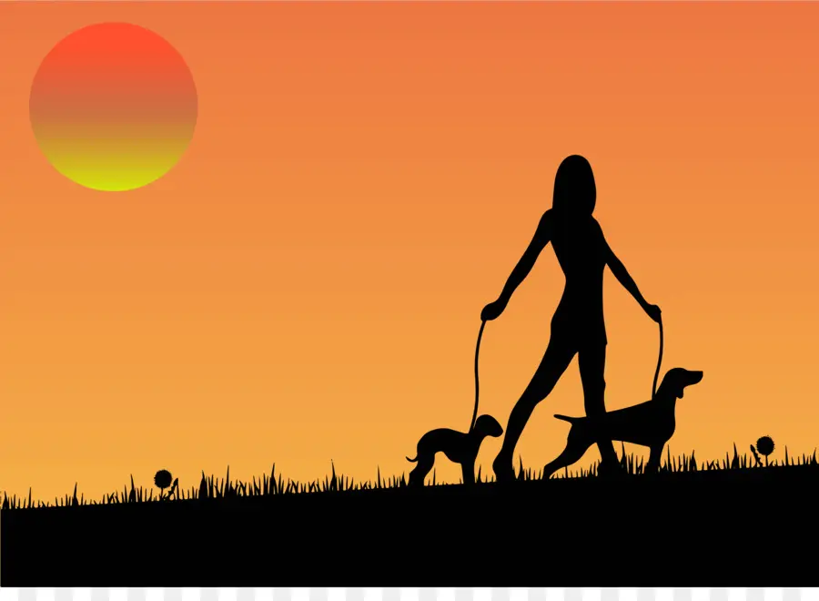 Mujer Paseando Perros，Atardecer PNG