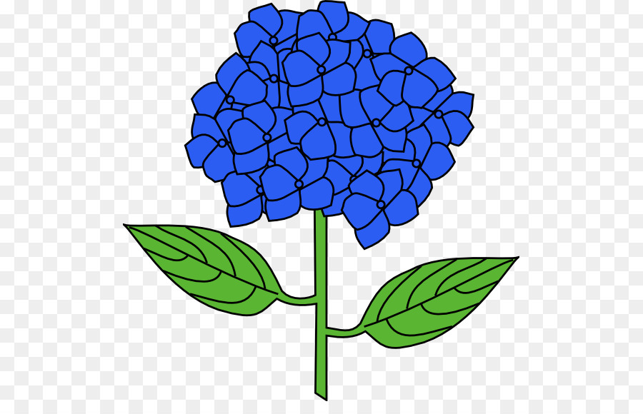 Flor Azul，Planta PNG