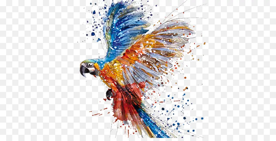 Parrot，Pintura A La Acuarela PNG