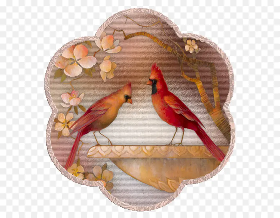 Cardenales，Cardenal Rojo PNG