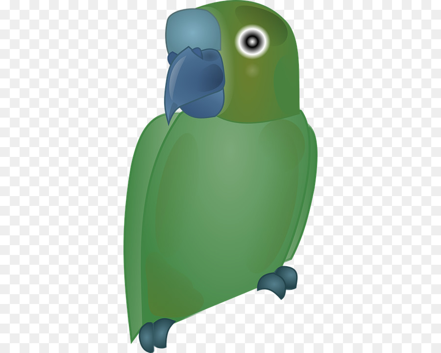 Loro，Pájaro PNG