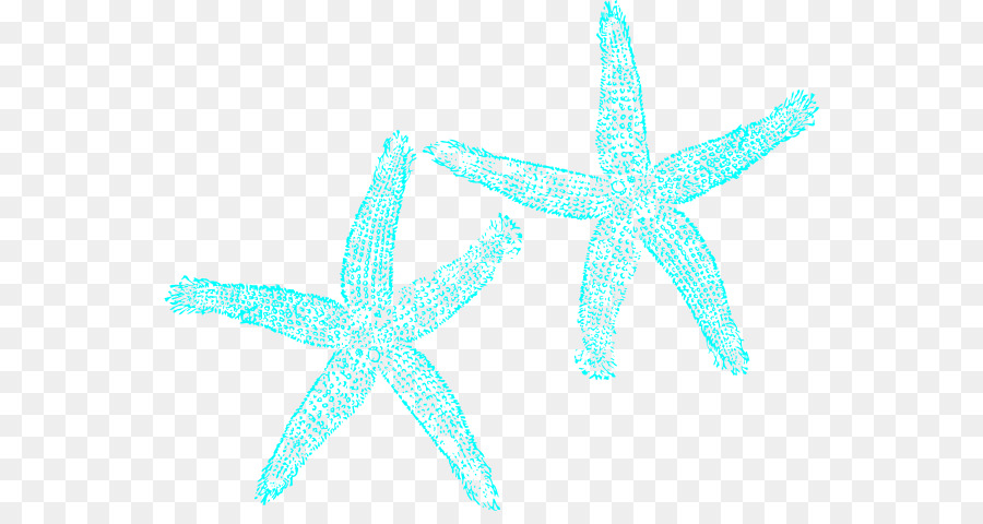 Estrella De Mar，Océano PNG