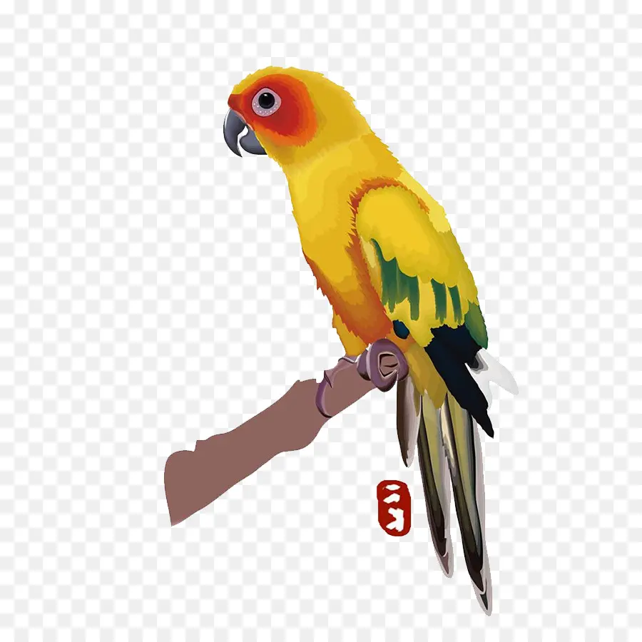 Loro Amarillo，Rama PNG