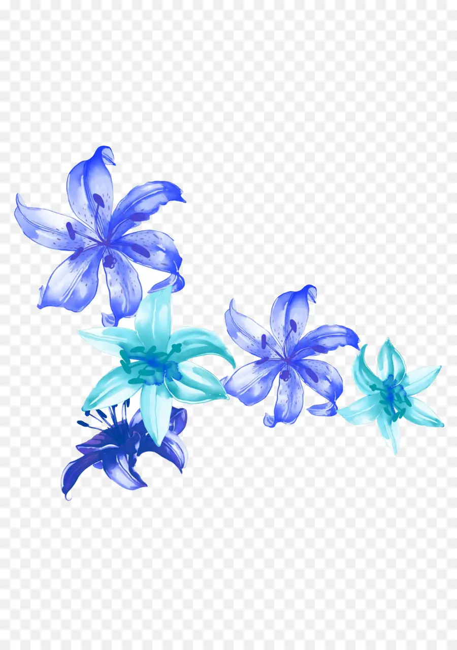 Azul，Lilium PNG