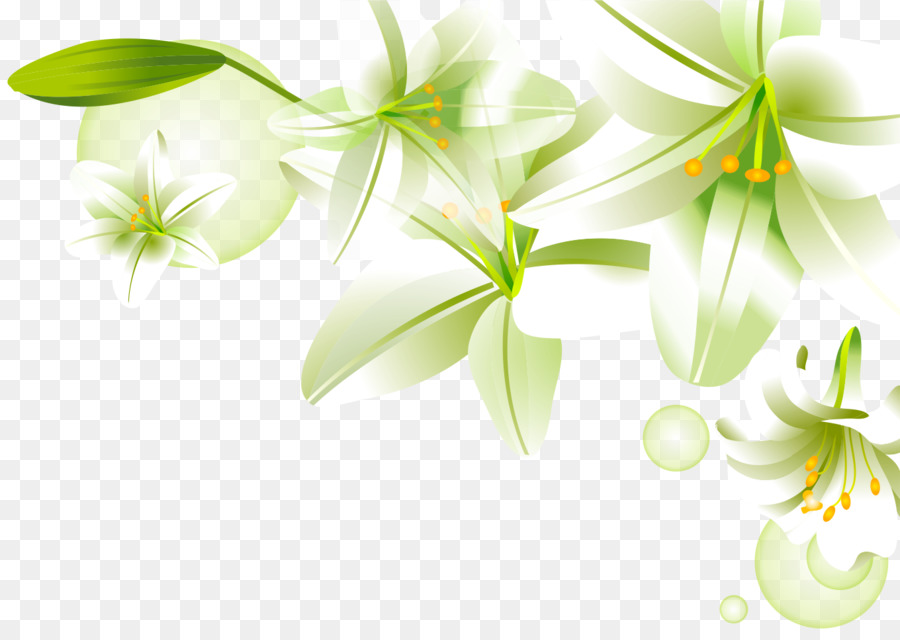 Diseño Floral，Flores PNG