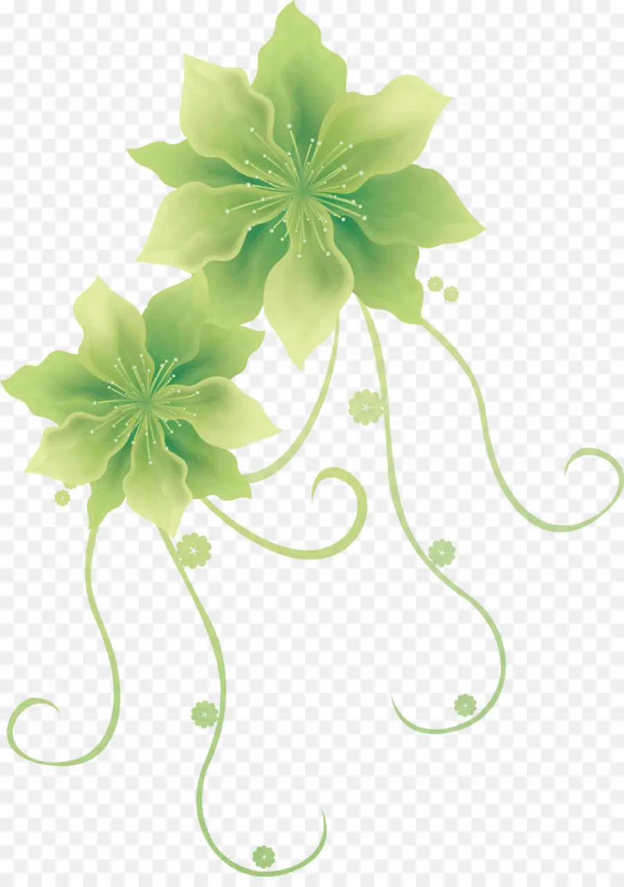 Flor，Verde PNG