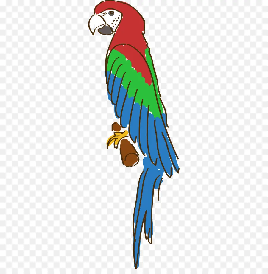 Loro Verde Y Azul，Cabeza Roja PNG