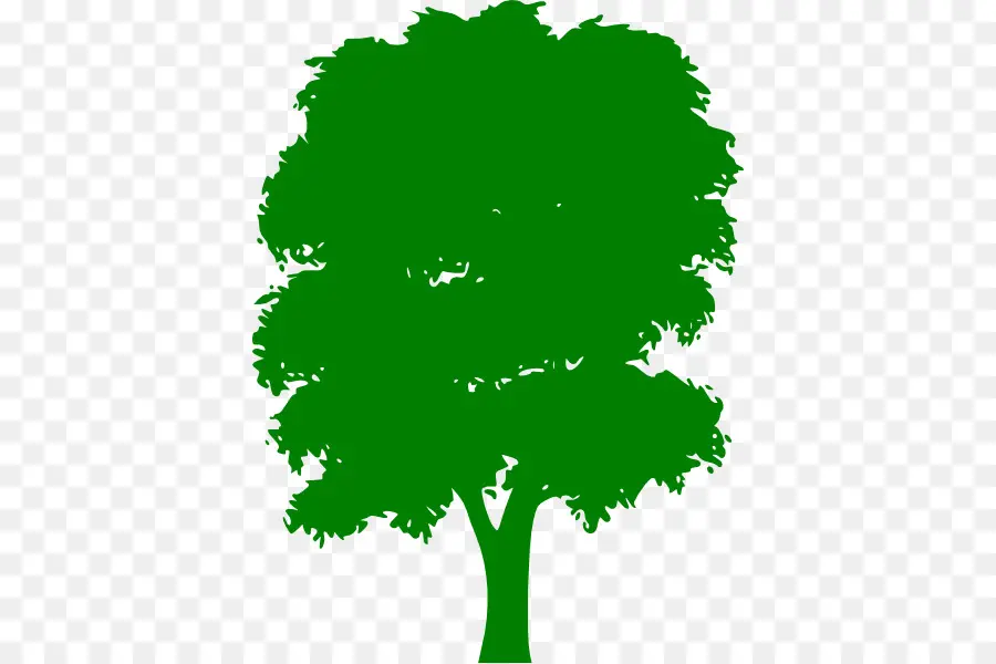 Árbol，Hojas PNG