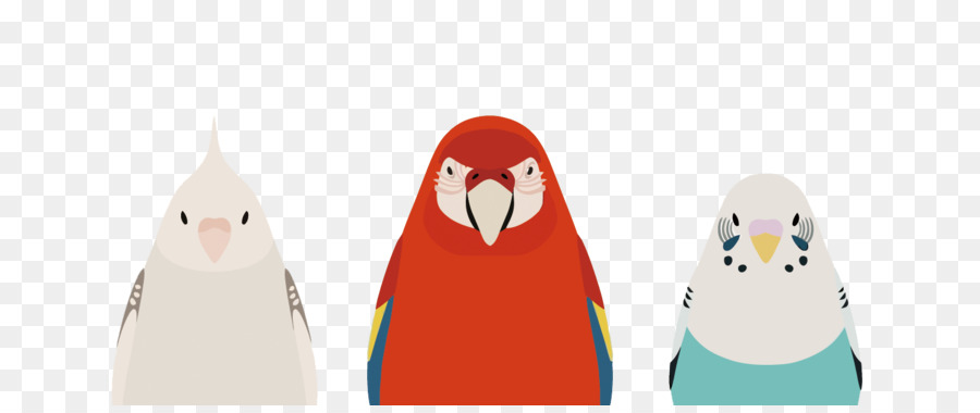 Parrot，Penguin PNG