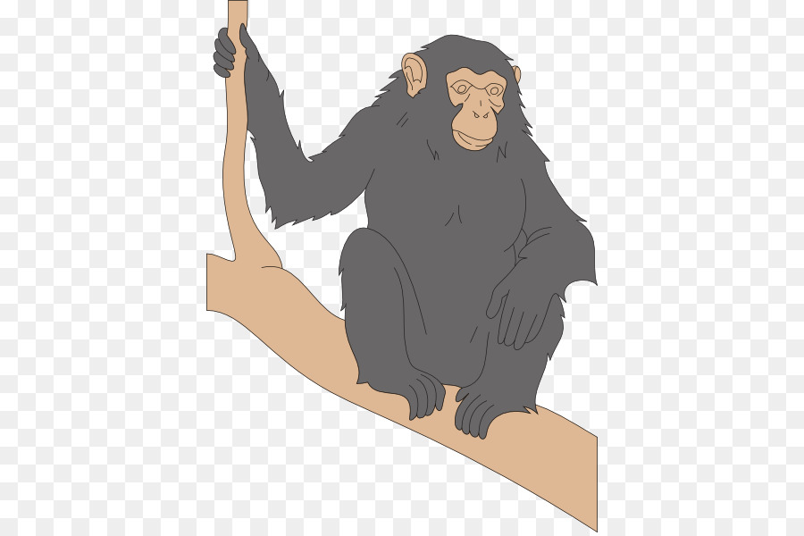 Chimpancé，Los Primates PNG