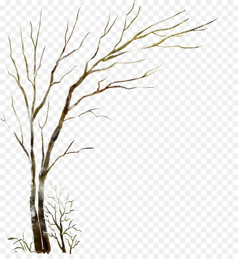 árbol Desnudo，Sucursales PNG