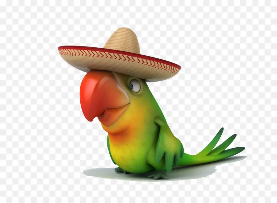 Loro De Dibujos Animados，Sombrero PNG