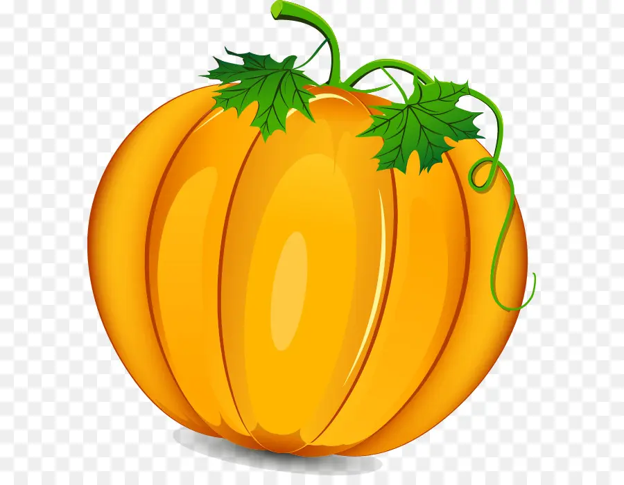 Calabaza Naranja，Vides Verdes PNG