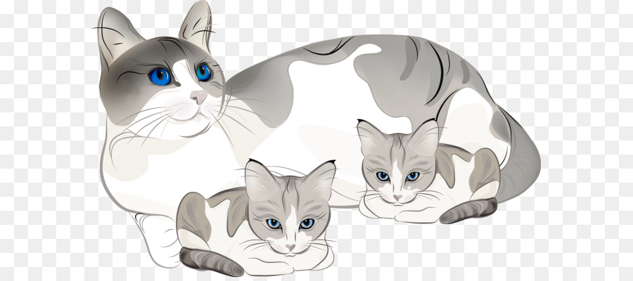 Gatito，Gato PNG