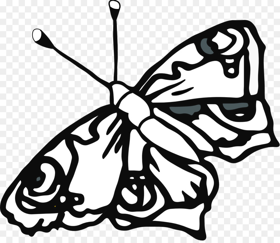 Mariposa，Libro Para Colorear PNG