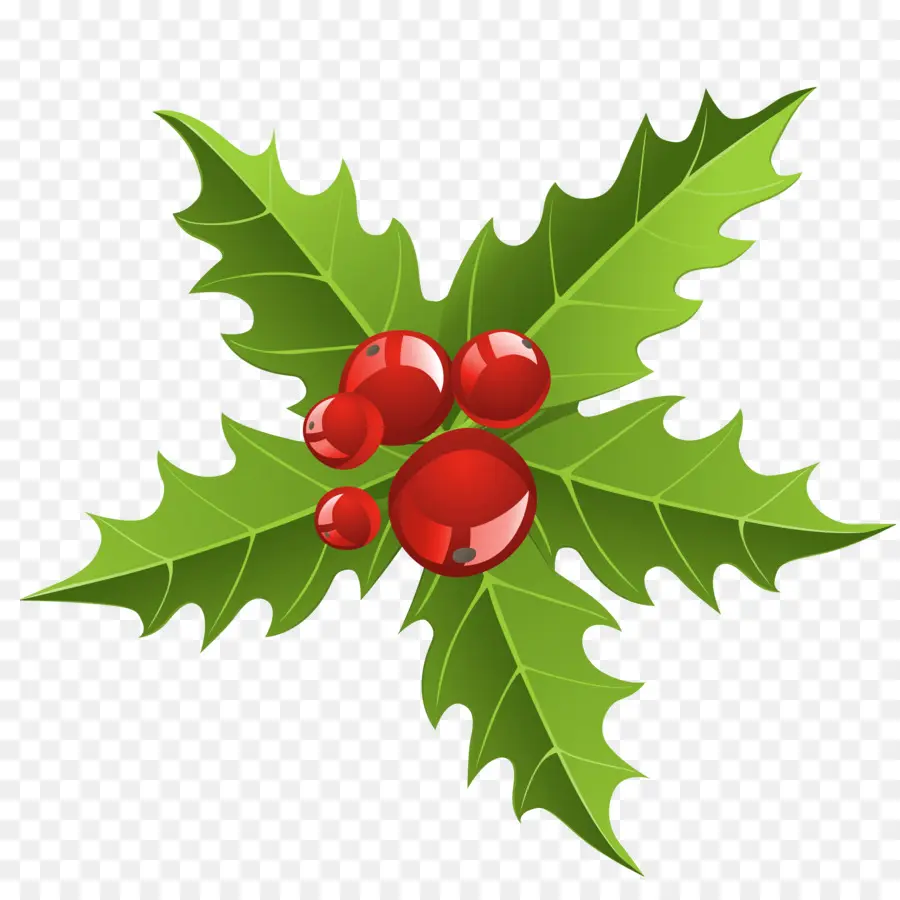 La Navidad，Decoración De La Navidad PNG
