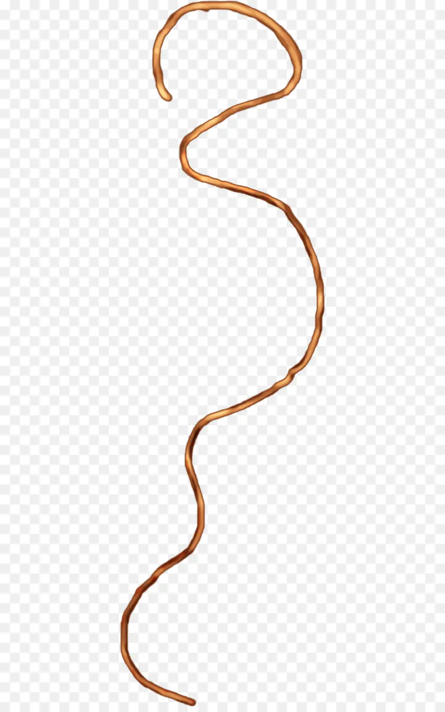 Cuerda，Segmento De Línea PNG