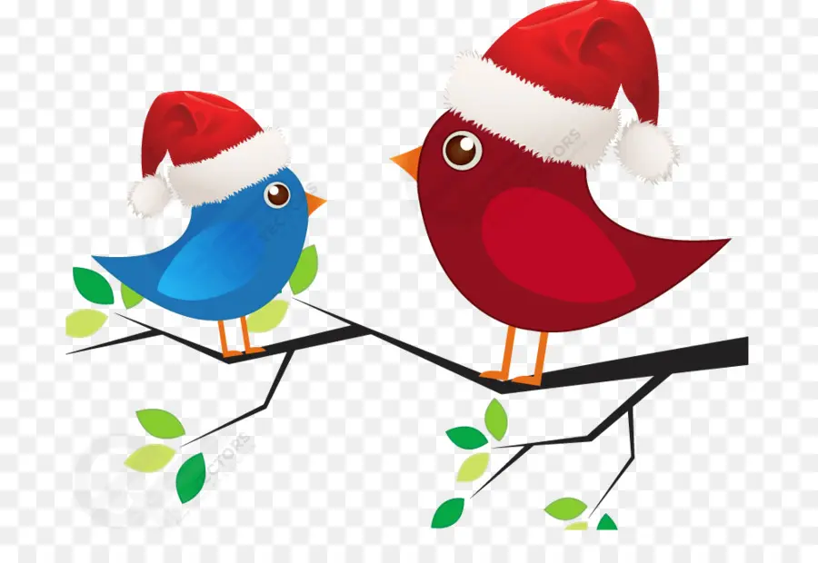 Pájaros Con Gorros De Papá Noel，Navidad PNG