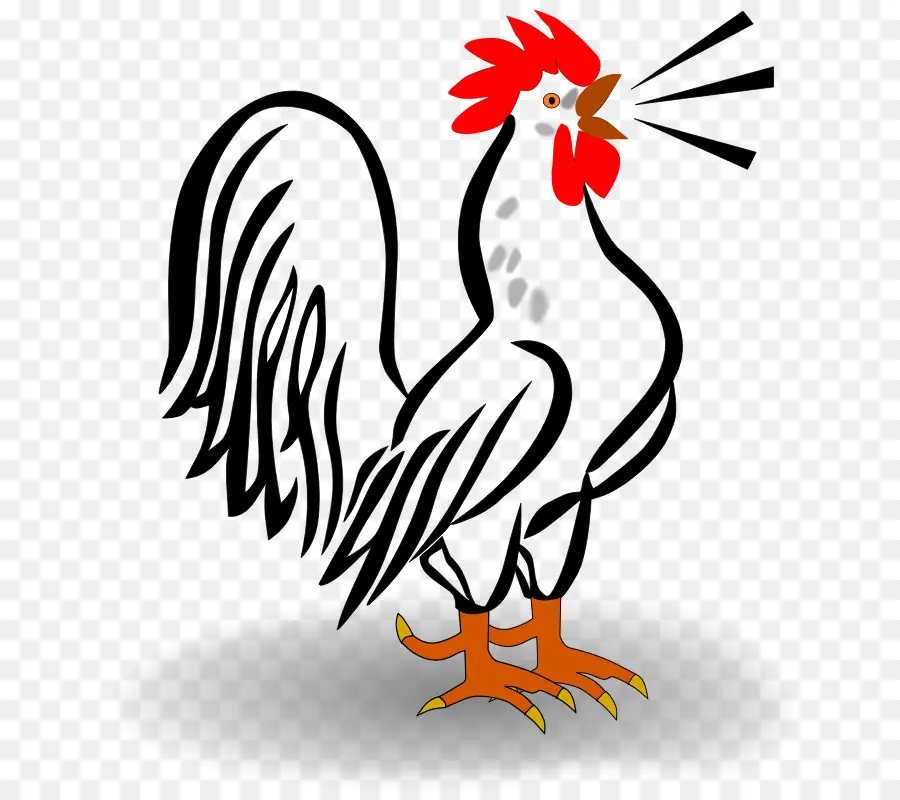 Houdan De Pollo，Pollo Leghorn PNG