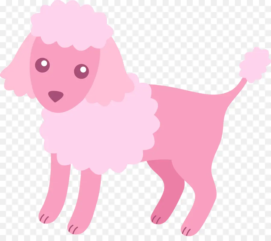 Caniche Rosa，Mascota PNG