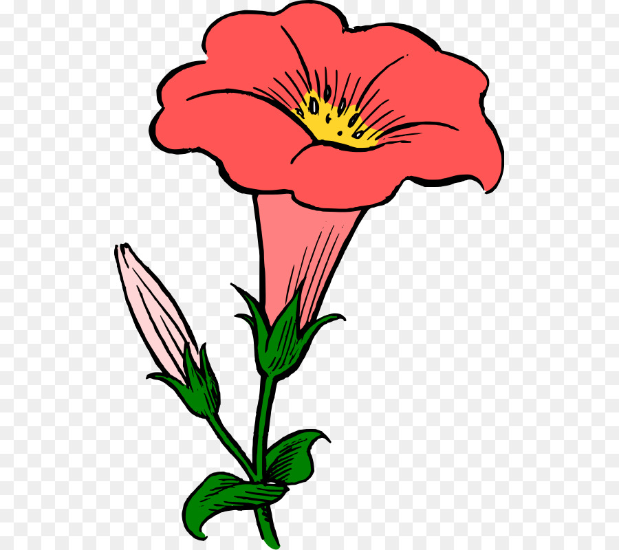 Flores Rojas，Florecer PNG