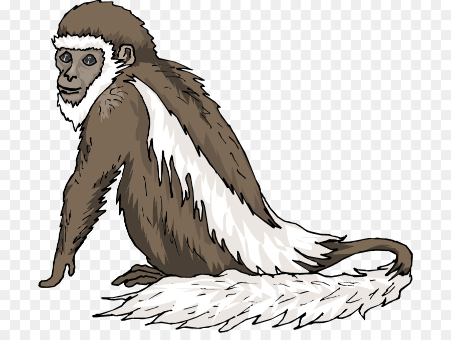 Chimpancé，Mono PNG