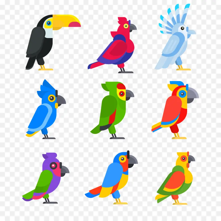 Loros Coloridos，Varios Colores PNG