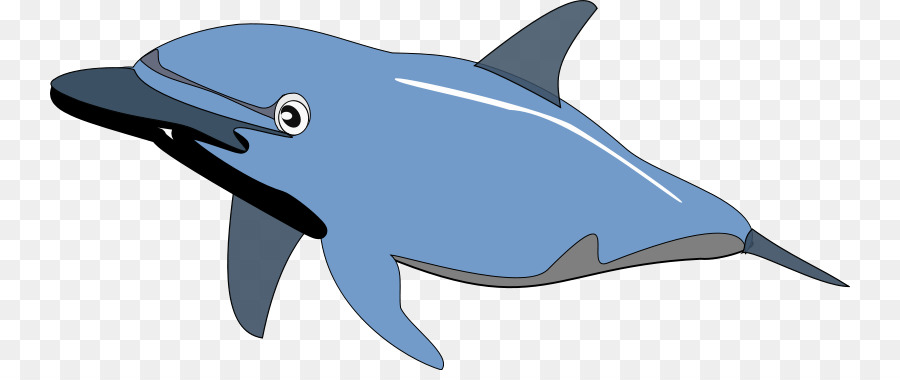 Ballena De Dibujos Animados，Ballena PNG