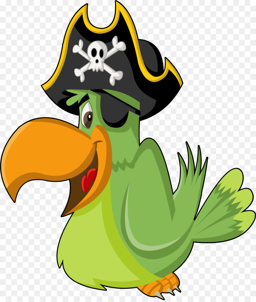 Loro Verde，Sombrero Pirata PNG