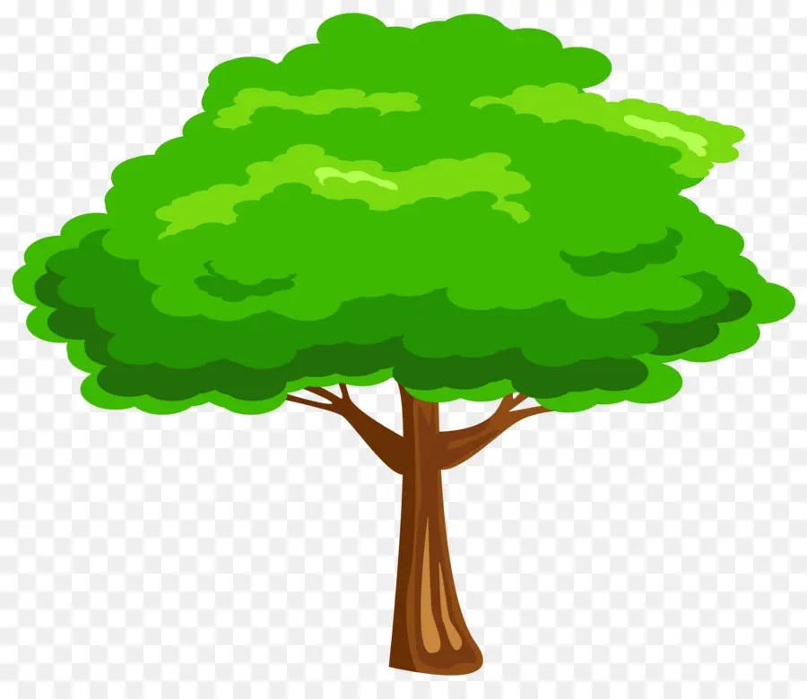 árbol，Libre De Contenido PNG