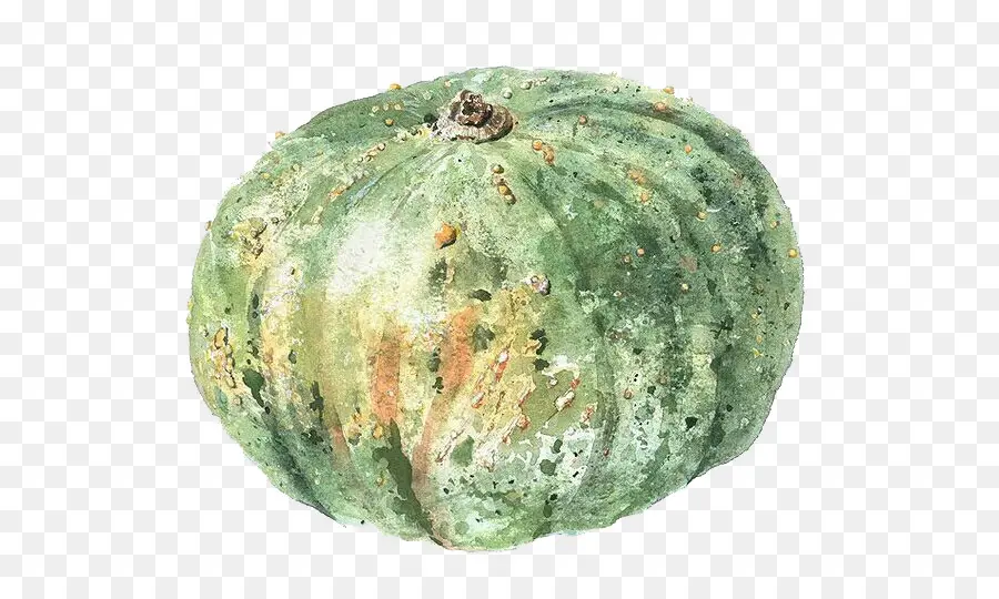 Calabaza Verde，Cosecha PNG