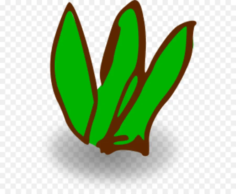 Las Algas，Planta PNG