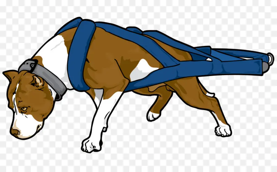 Perro En Arnés，Mascota PNG