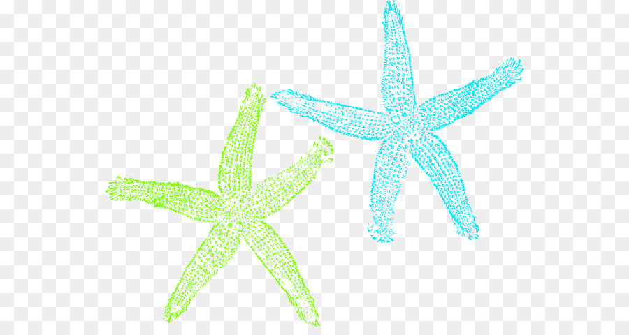 Estrella De Mar，Océano PNG