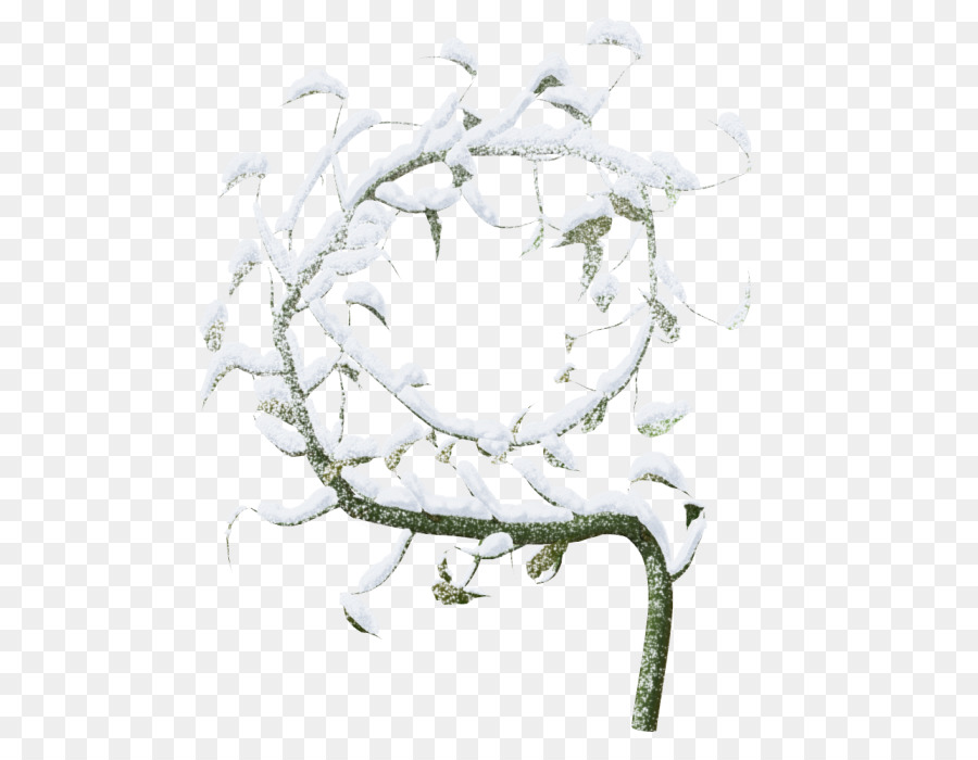 árbol Nevado，Invierno PNG